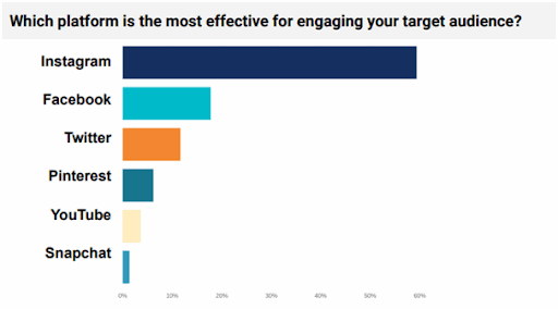 Which-platform-is-most-effective-for-targeting-your-audience A Comprehensive Guide to Instagram Influencer Marketing