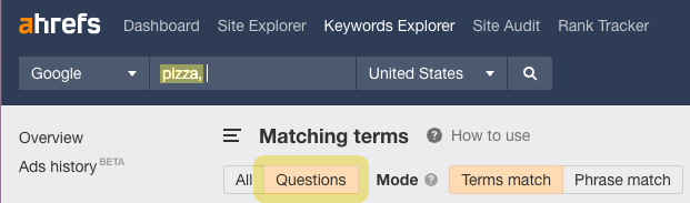 Questions filter turned on in Matching terms report; search term is "pizza"