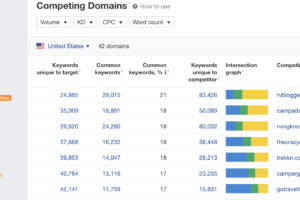 1-ahrefs-competing-domains-report