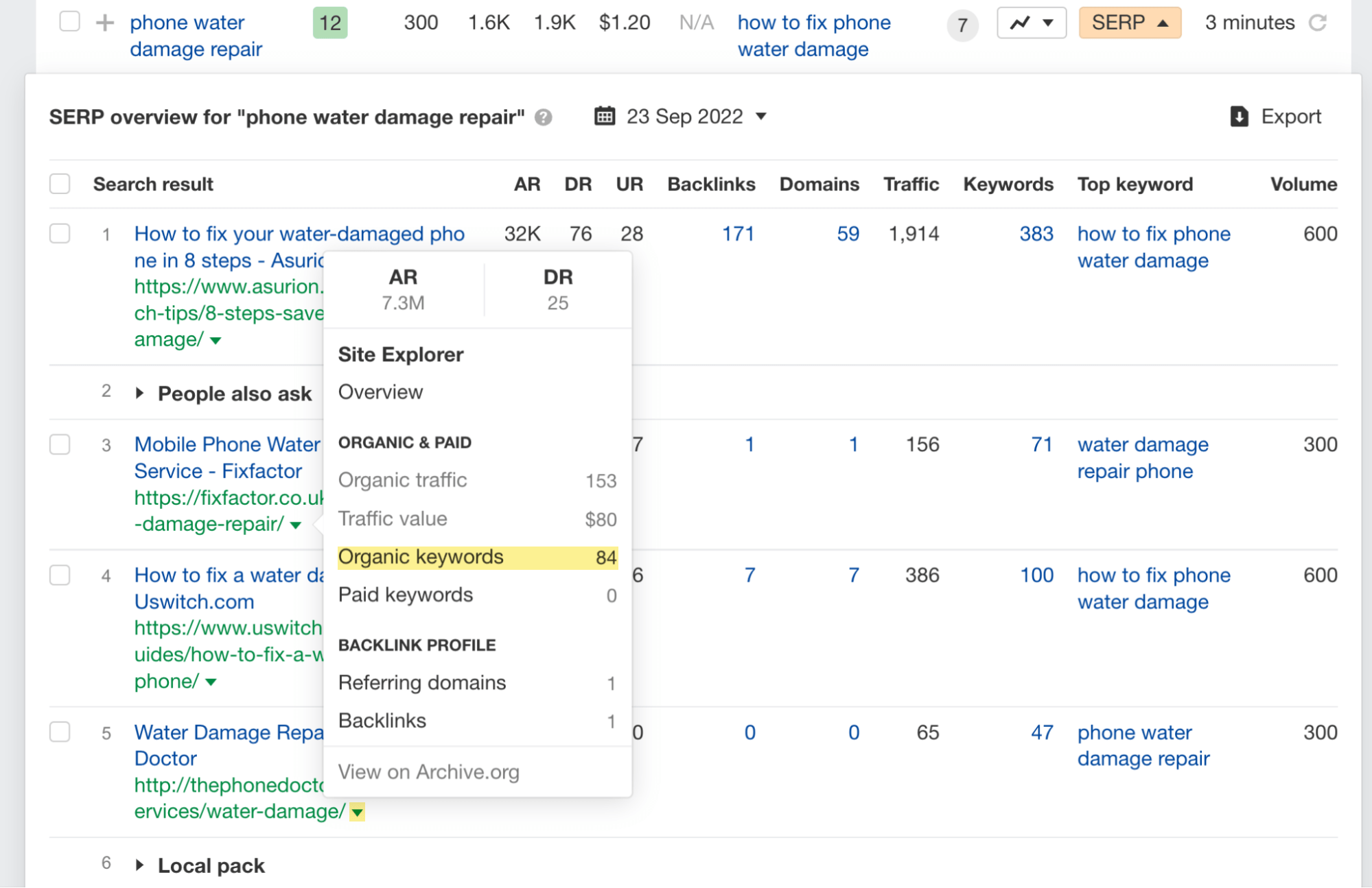 Clicking on the caret in the SERP overview leads to other reports