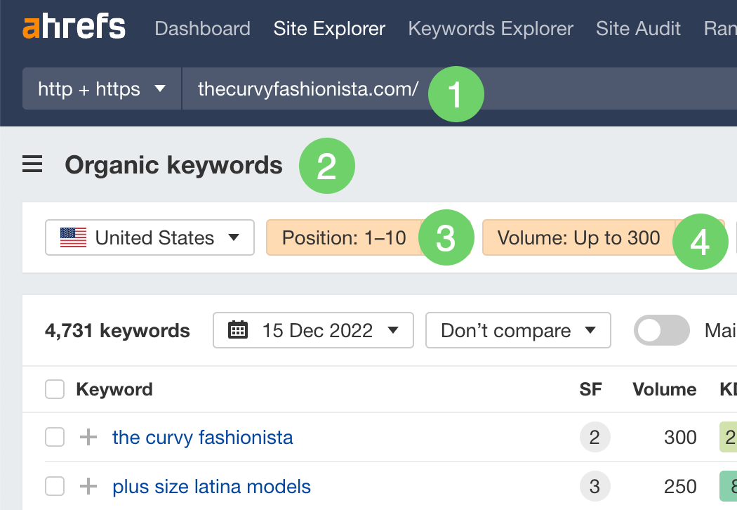 Filtering for long-tail keywords that thecurvyfashionist.com ranks for in Ahrefs ' Site Explorer
