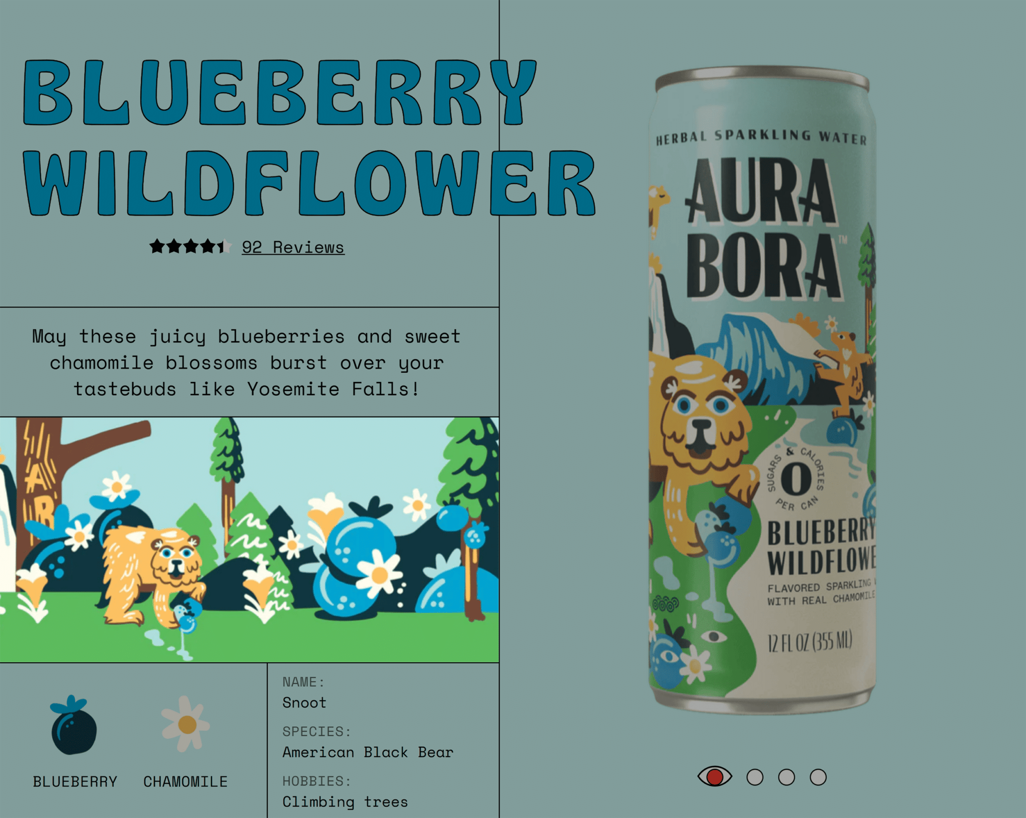 aurabora-illustration 20 Effective Product Page Examples (+ Best Practices)