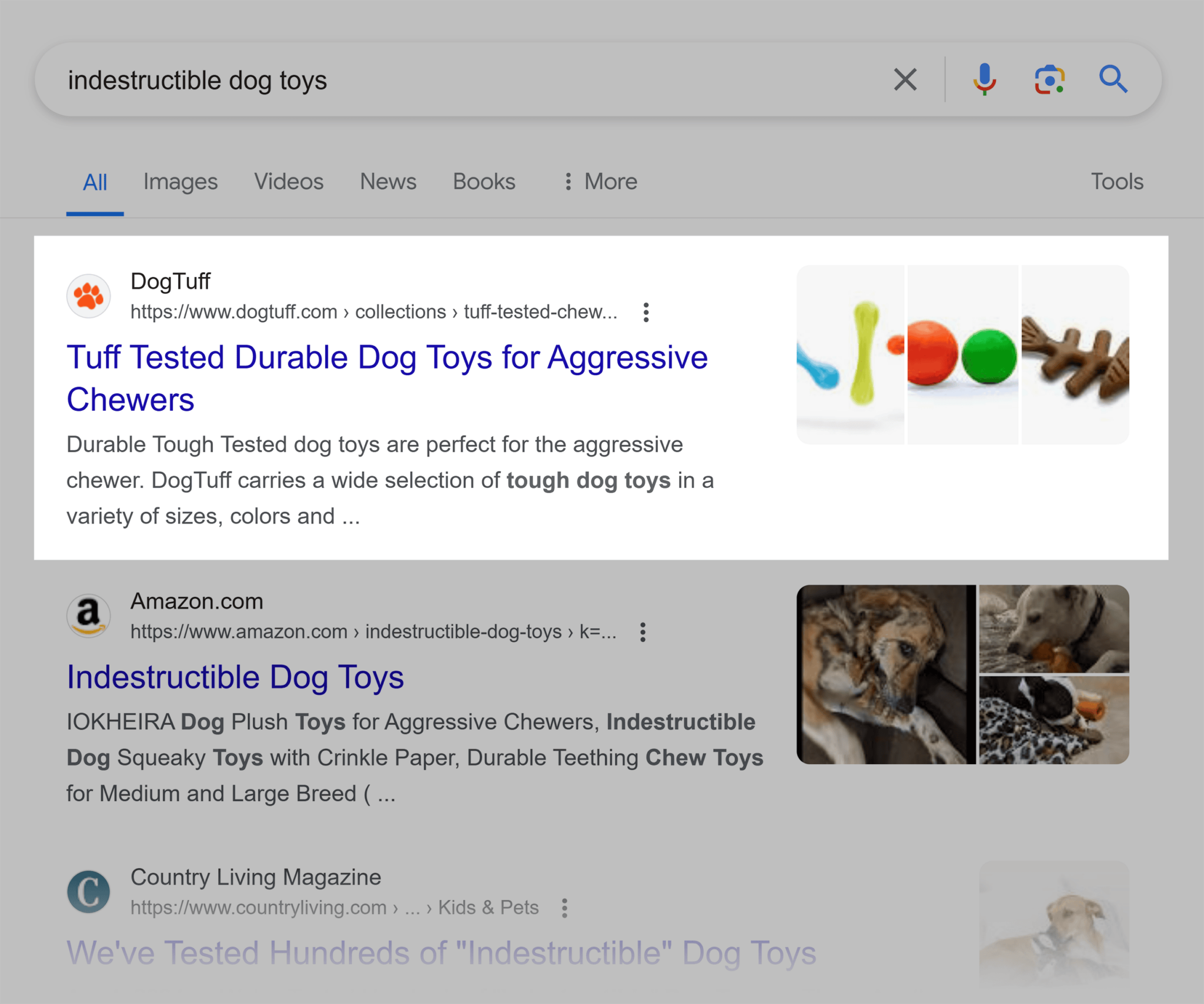 google-serp-indestructible-dog-toys Ecommerce Marketing: 11 Strategies to Drive Traffic and Sales