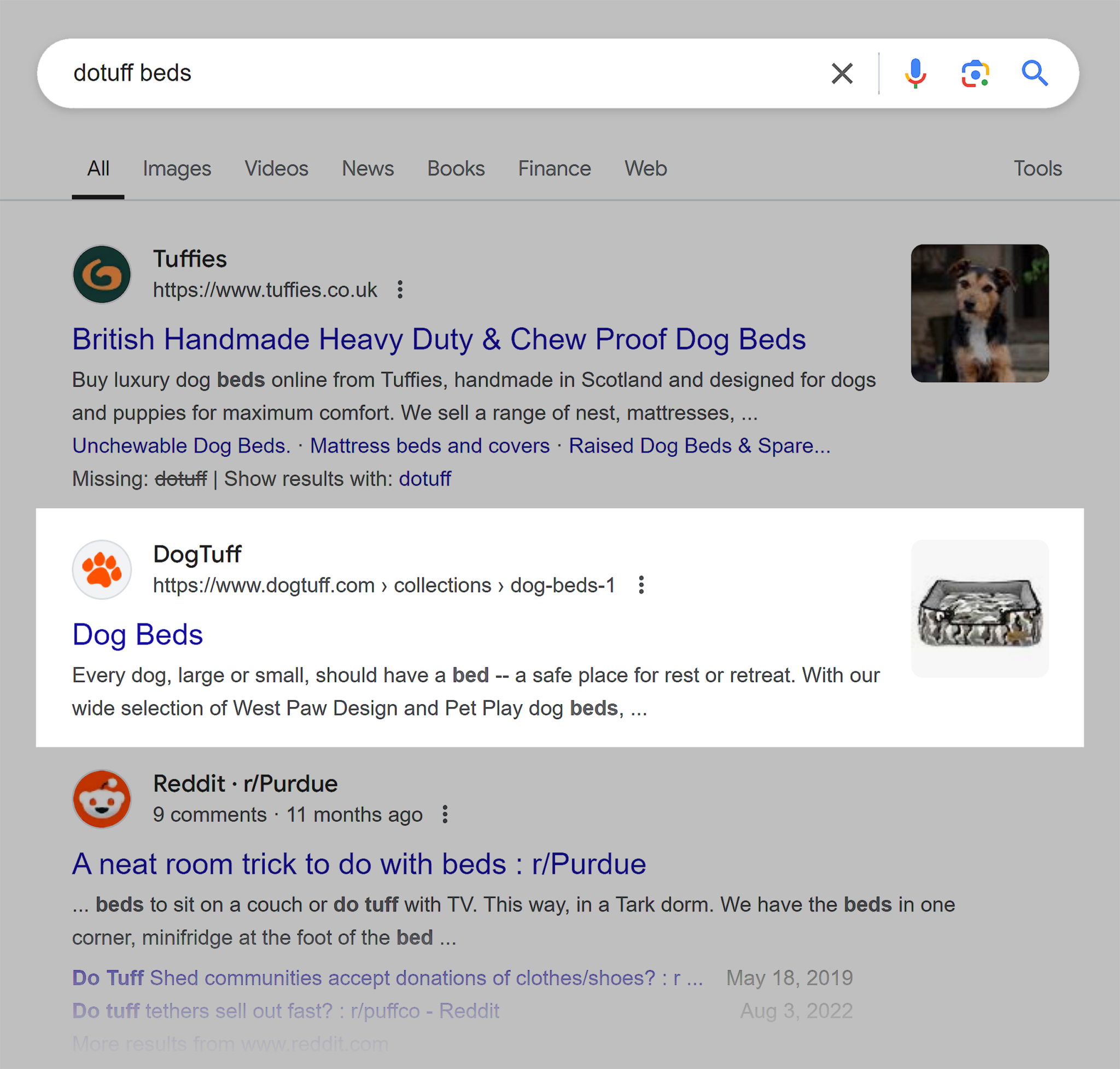 google-serp-dogtuff-beds 10 Types of Keywords with Examples (+ How to Find Them)