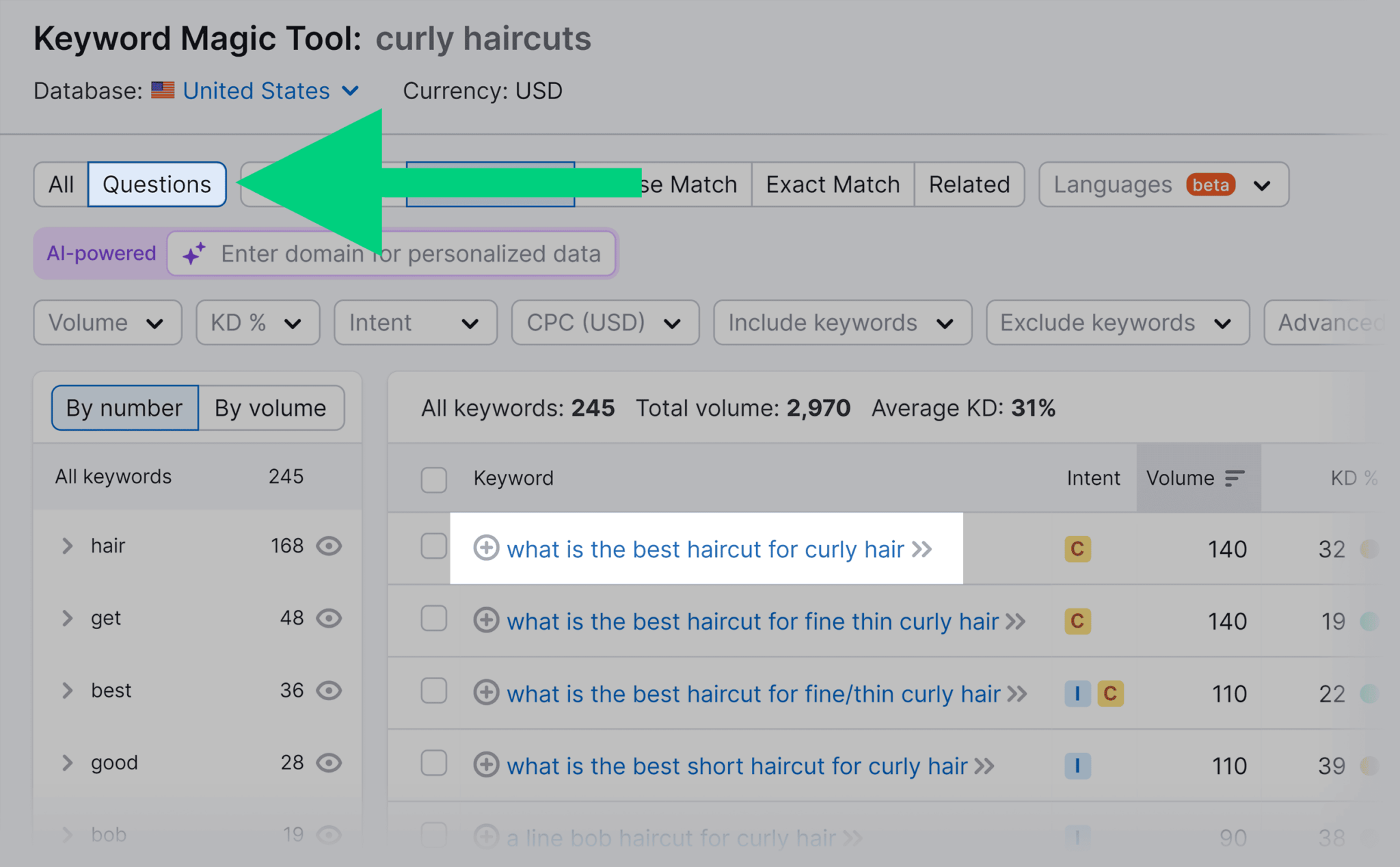 keyword-magic-tool-curly-haircuts-questions How to Do SEO for Your New Website [10-Step Guide]