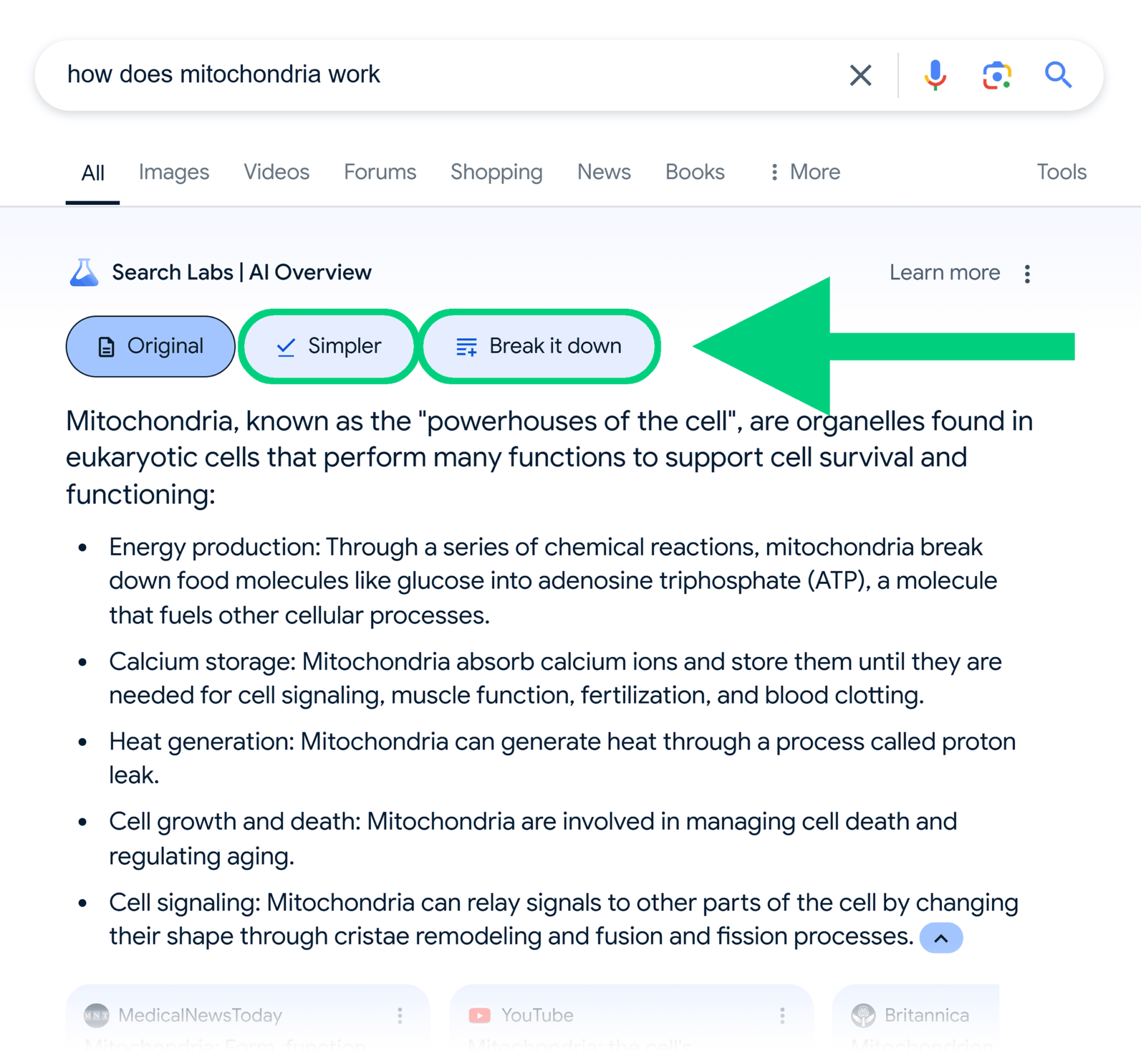 google-serp-how-does-mitochondria-work-ai-overview AI Overviews: What They Are and How to Optimize for Them