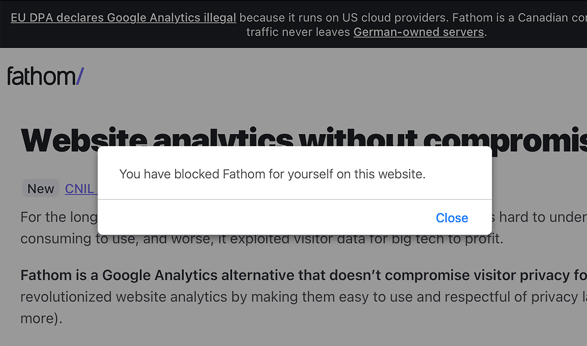 fathom-analytics-eu-user-addresses-are-blocked-by-default 7 Top Google Analytics Alternatives (Free and Paid)