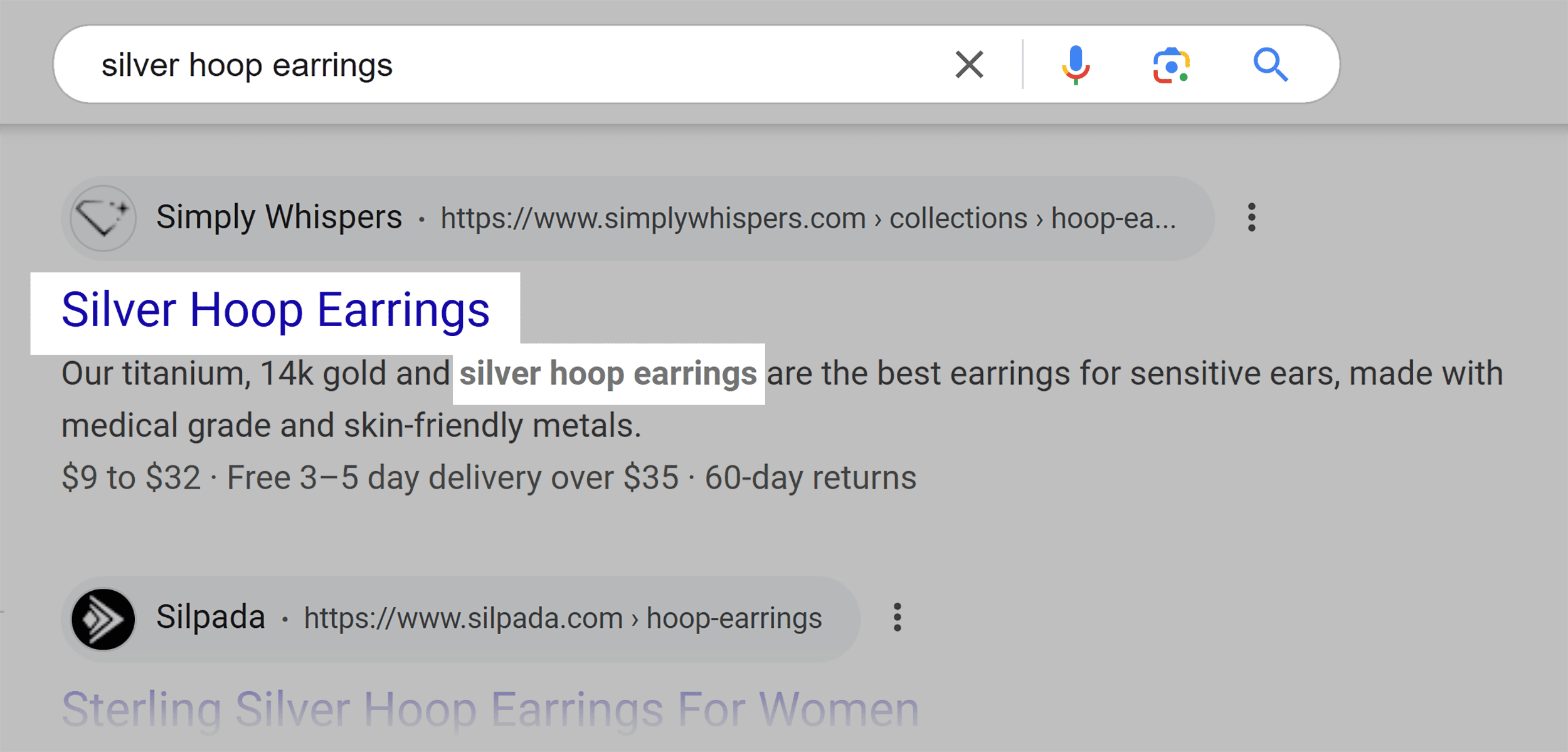 google-serp-silver-hoop-earrings Ecommerce Website Design: How to Create a Store That Sells