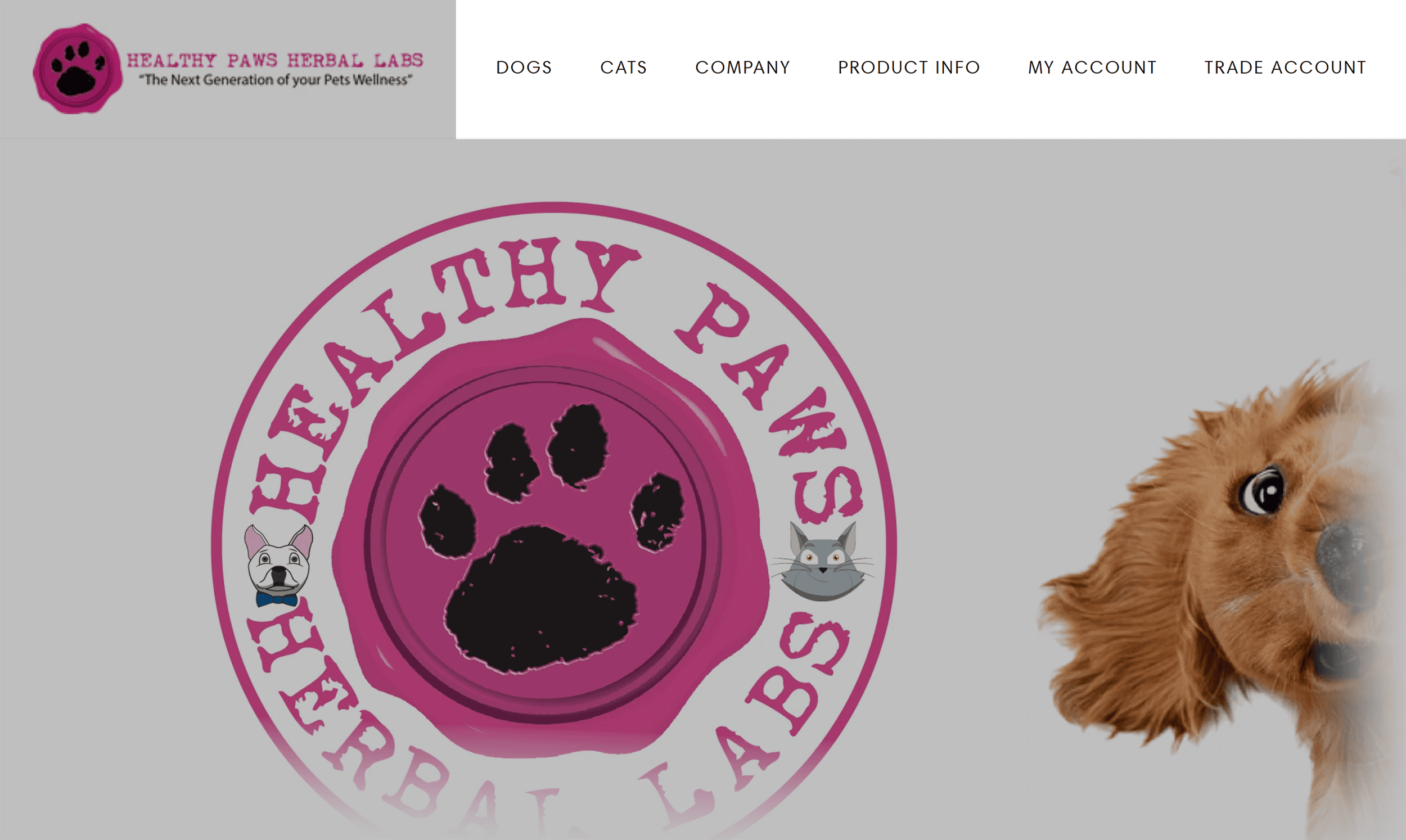 healthypawsherbals-navigation Ecommerce Website Design: How to Create a Store That Sells