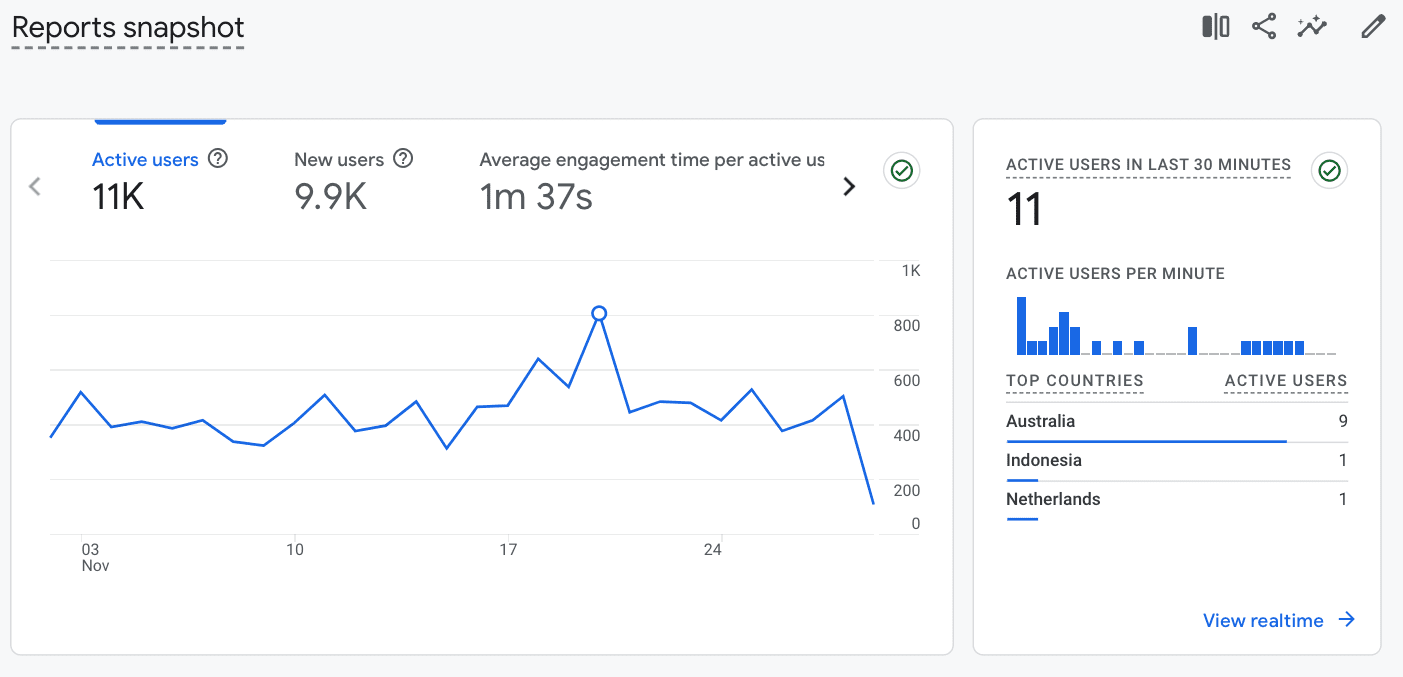 example-of-website-usage-data-in-google-analytics- 7 Free and Beginner-Friendly Small Business SEO Tools