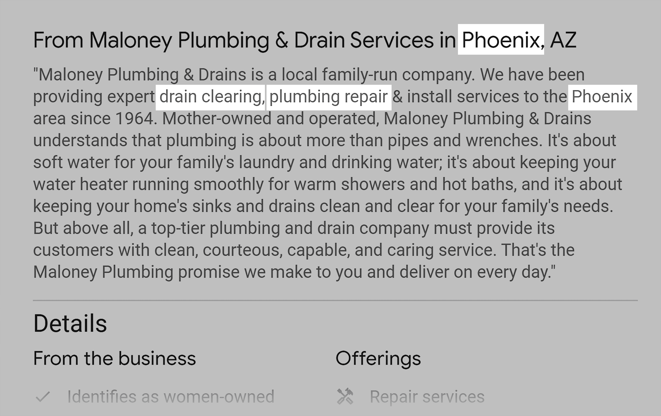 maloney-plumbing-and-drain-services-company-overview-key-terms-location SEO for Plumbers: How to Rank Higher & Get More Customers